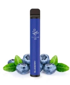ElfBar 600 Nikotinfrei – Blueberry