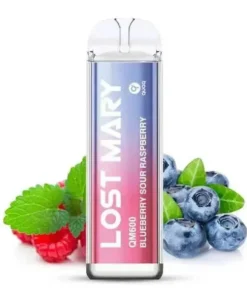 Elfbar – Lost Mary QM 600 – Blueberry Sour Raspberry – 20mg