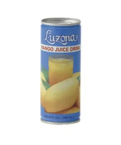 Mangogetränk 30 X 240 ML
