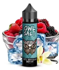 OWL Salt – Iced Vanilla Berry 10 ml – 60ml Flasche Aroma