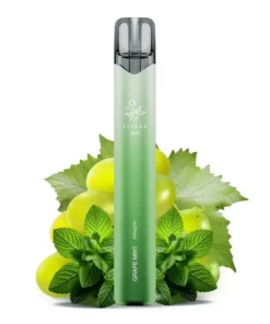 Elfbar 800 – Grape Mint