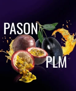 Must H – Pason Plum – Shisha Tabak 125g
