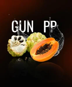 Must H – GunPP – Shisha Tabak 125g